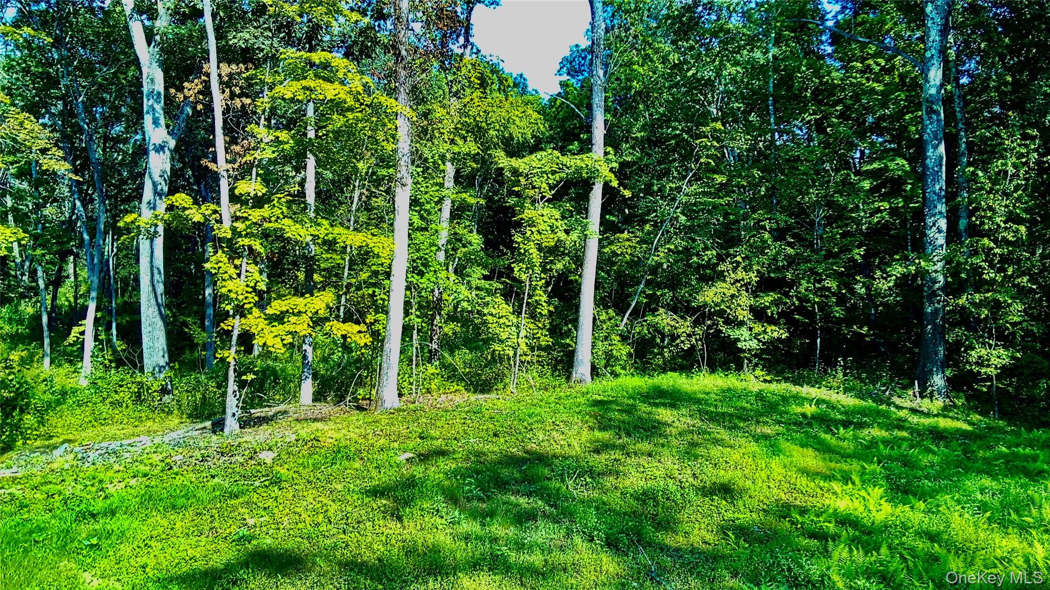 80 Forever Ivy Lane – For Sale photo 22