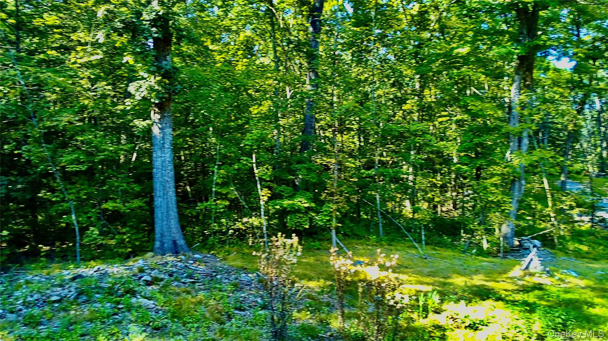80 Forever Ivy Lane – For Sale photo 23
