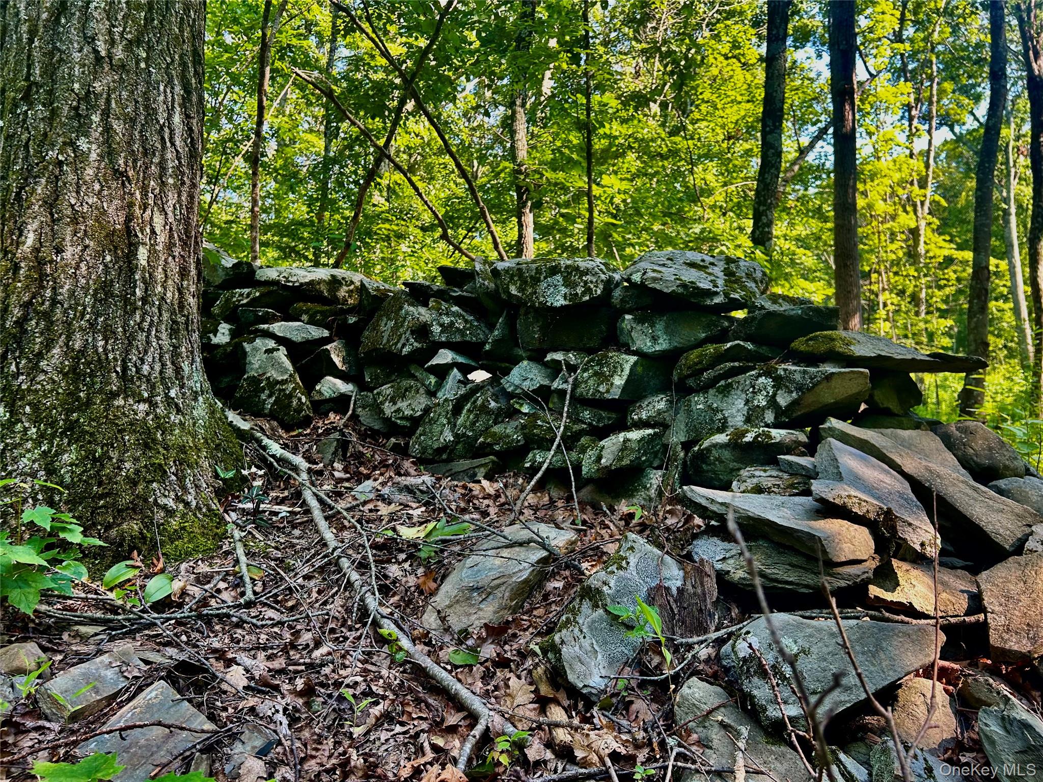 80 Forever Ivy Lane – For Sale photo 14