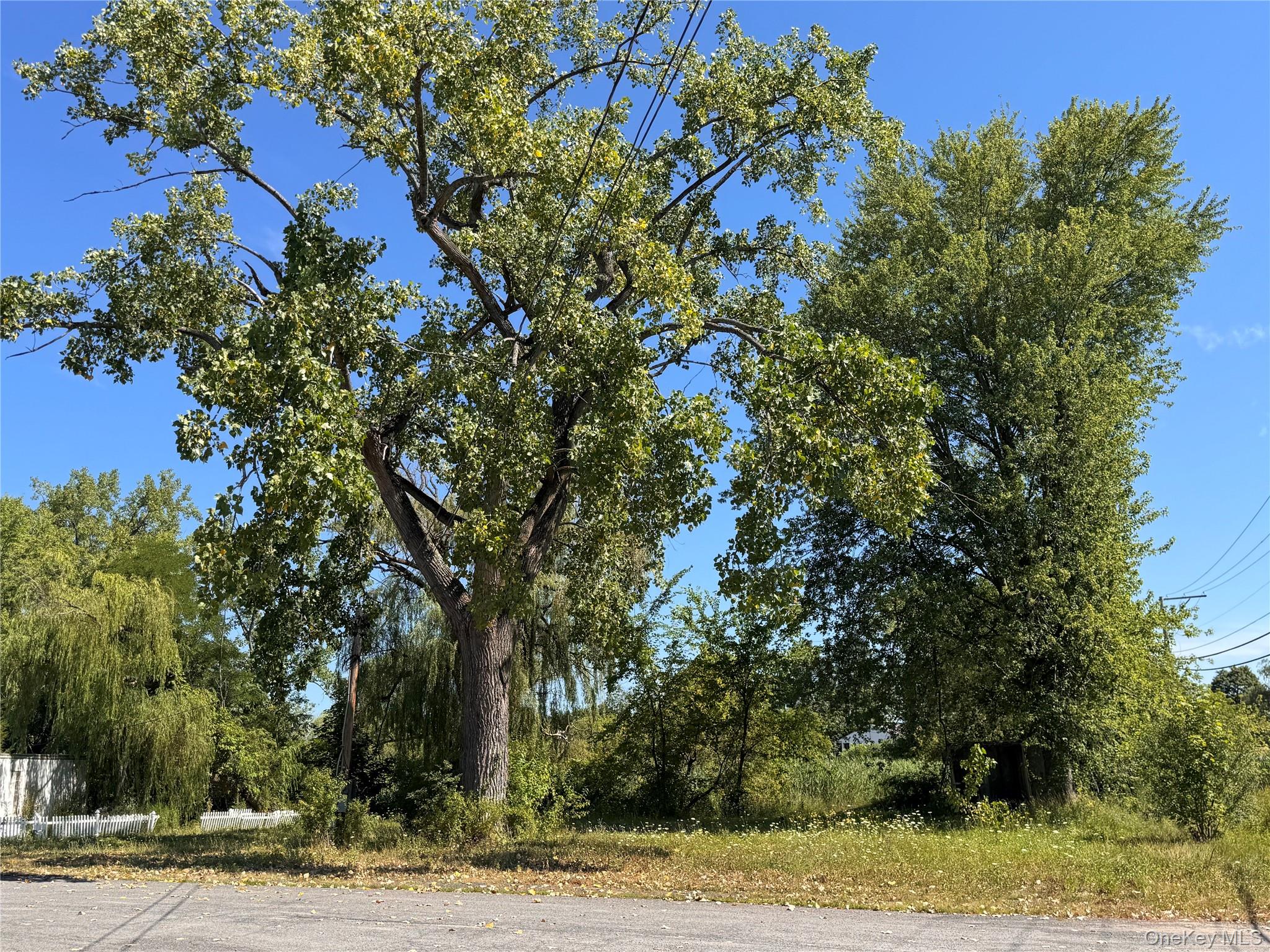 11559 State Route 9W – For Sale photo 19