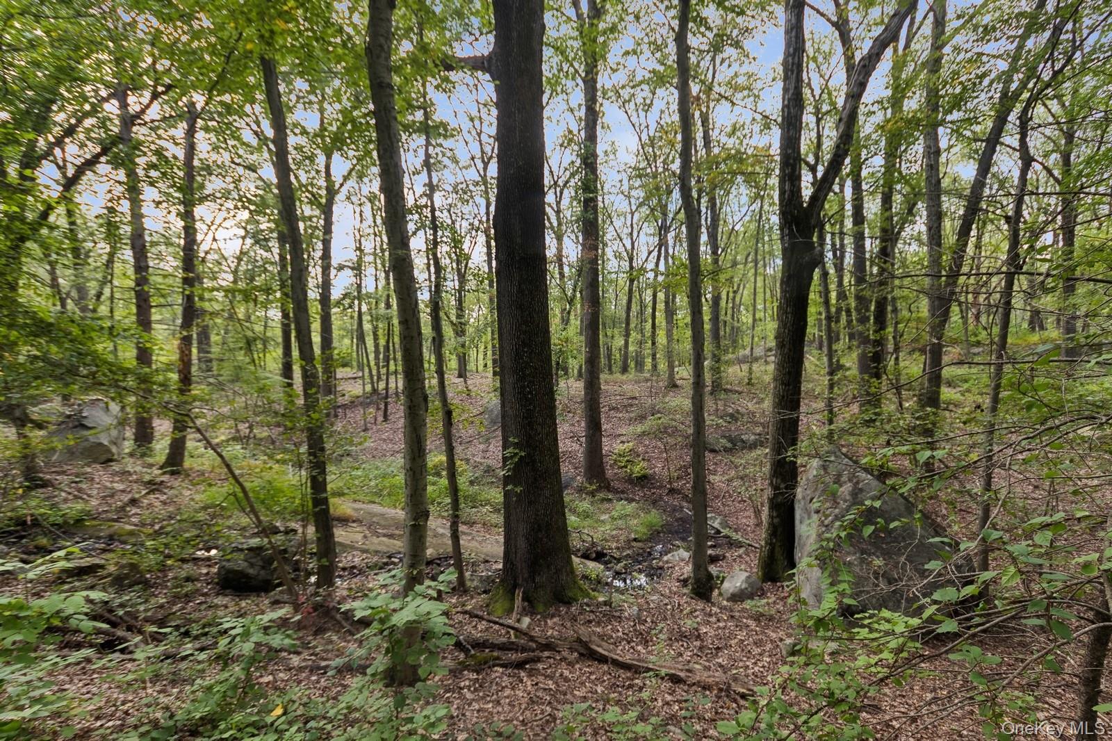Tbd Rt-9D – For Sale photo 10