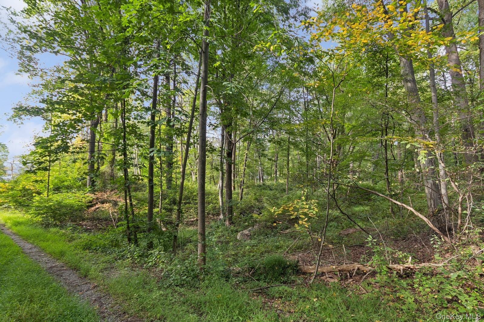 Tbd Rt-9D – For Sale photo 3