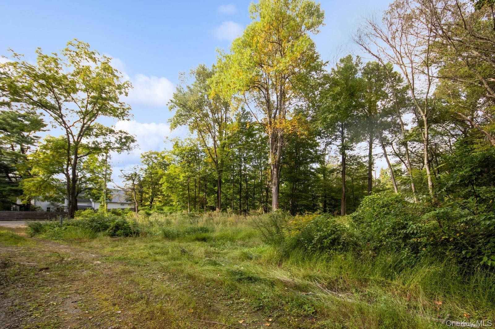 Tbd Rt-9D – For Sale photo 2
