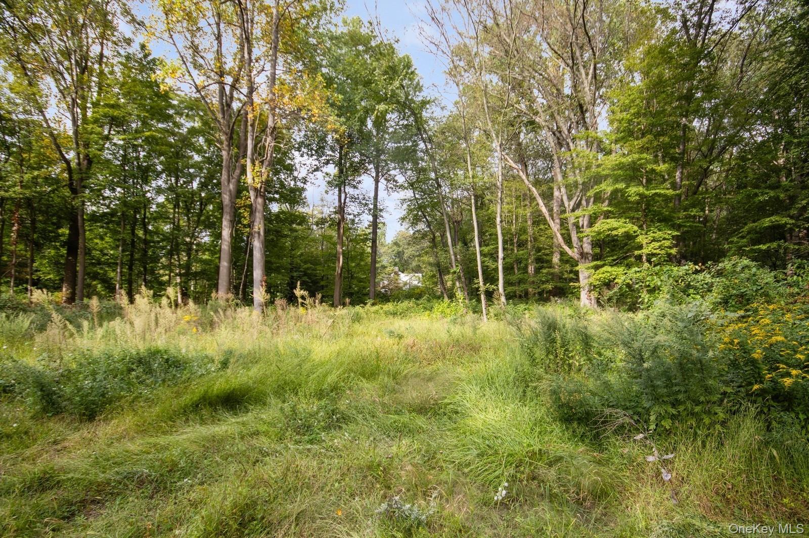 Tbd Rt-9D – For Sale