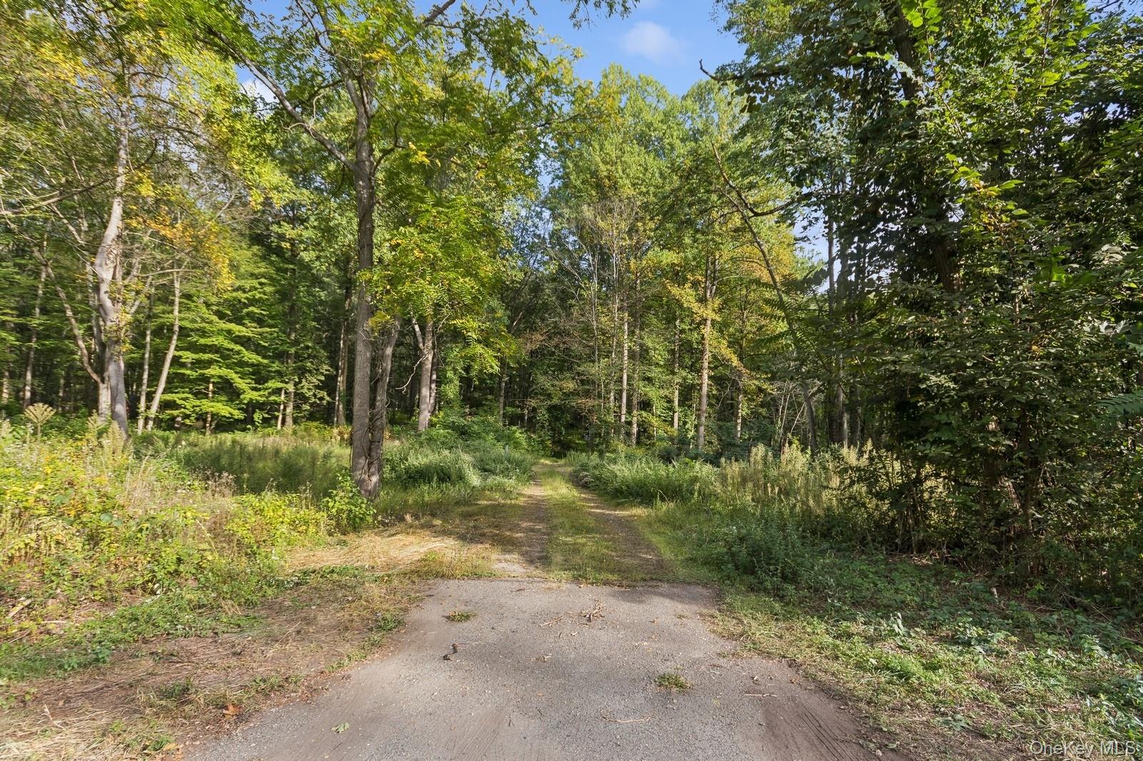 Tbd Rt-9D – For Sale photo 4