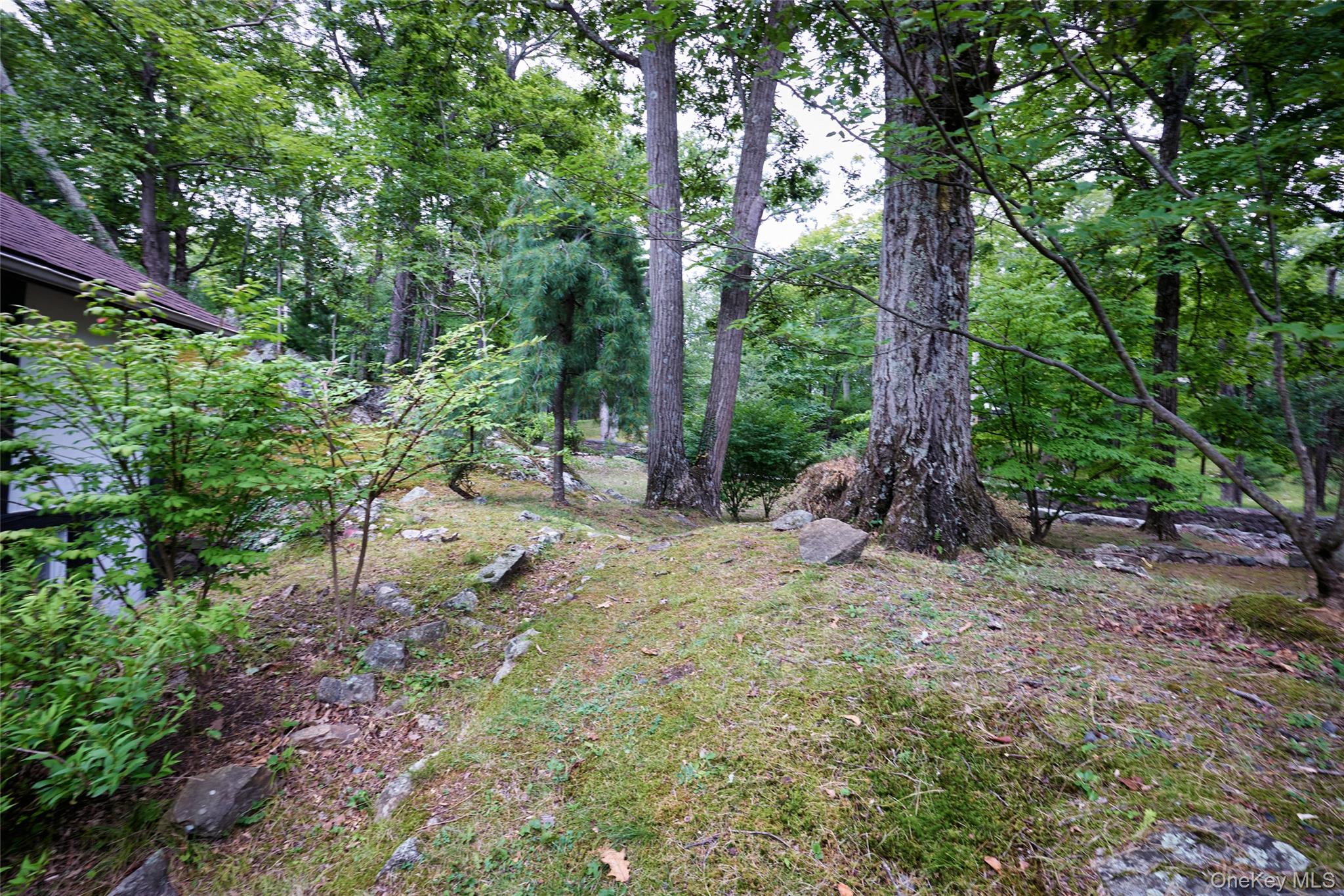 93 Circuit Road – For Sale photo 30