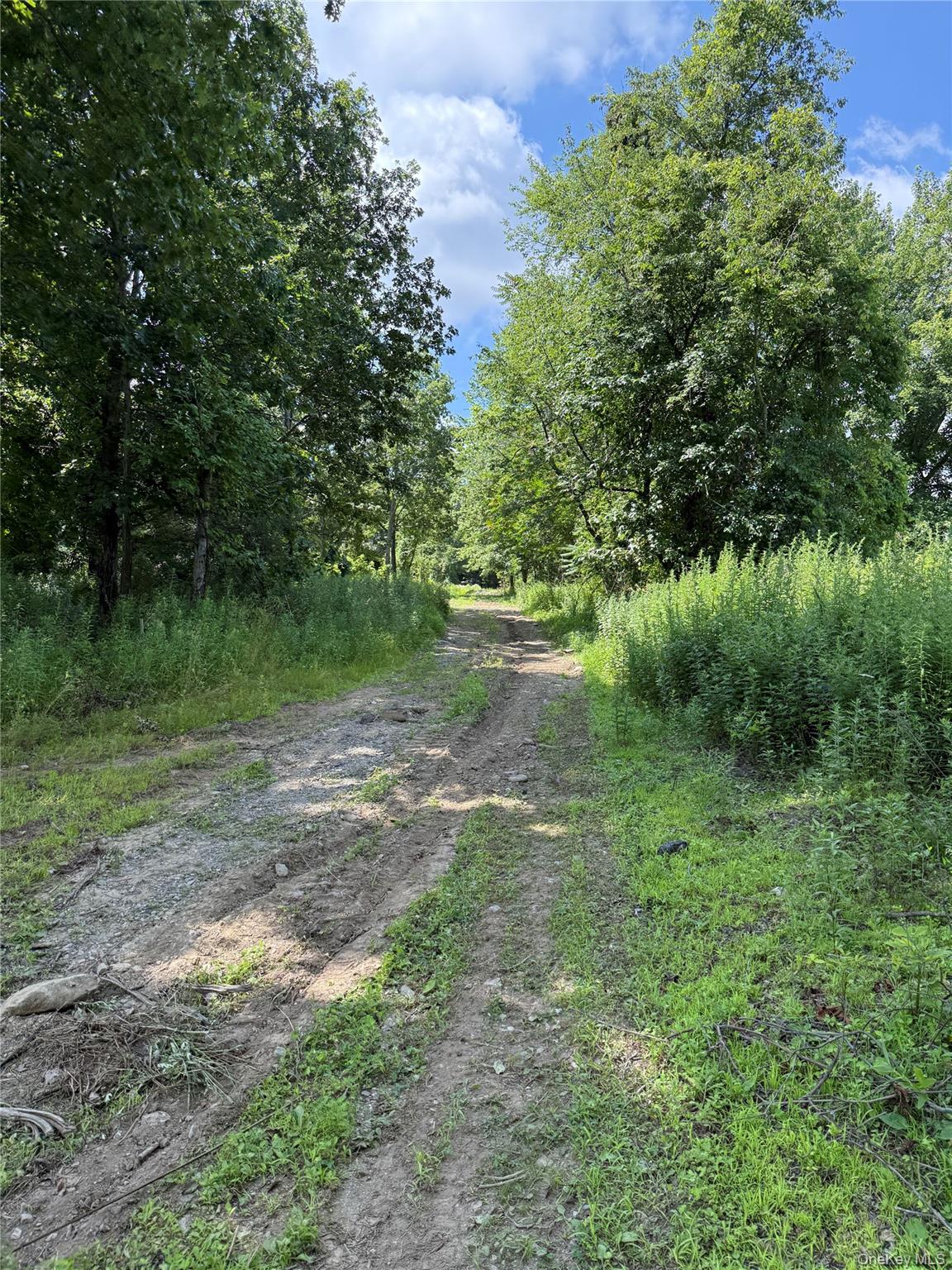 36 Gem Mountain – For Sale photo 14