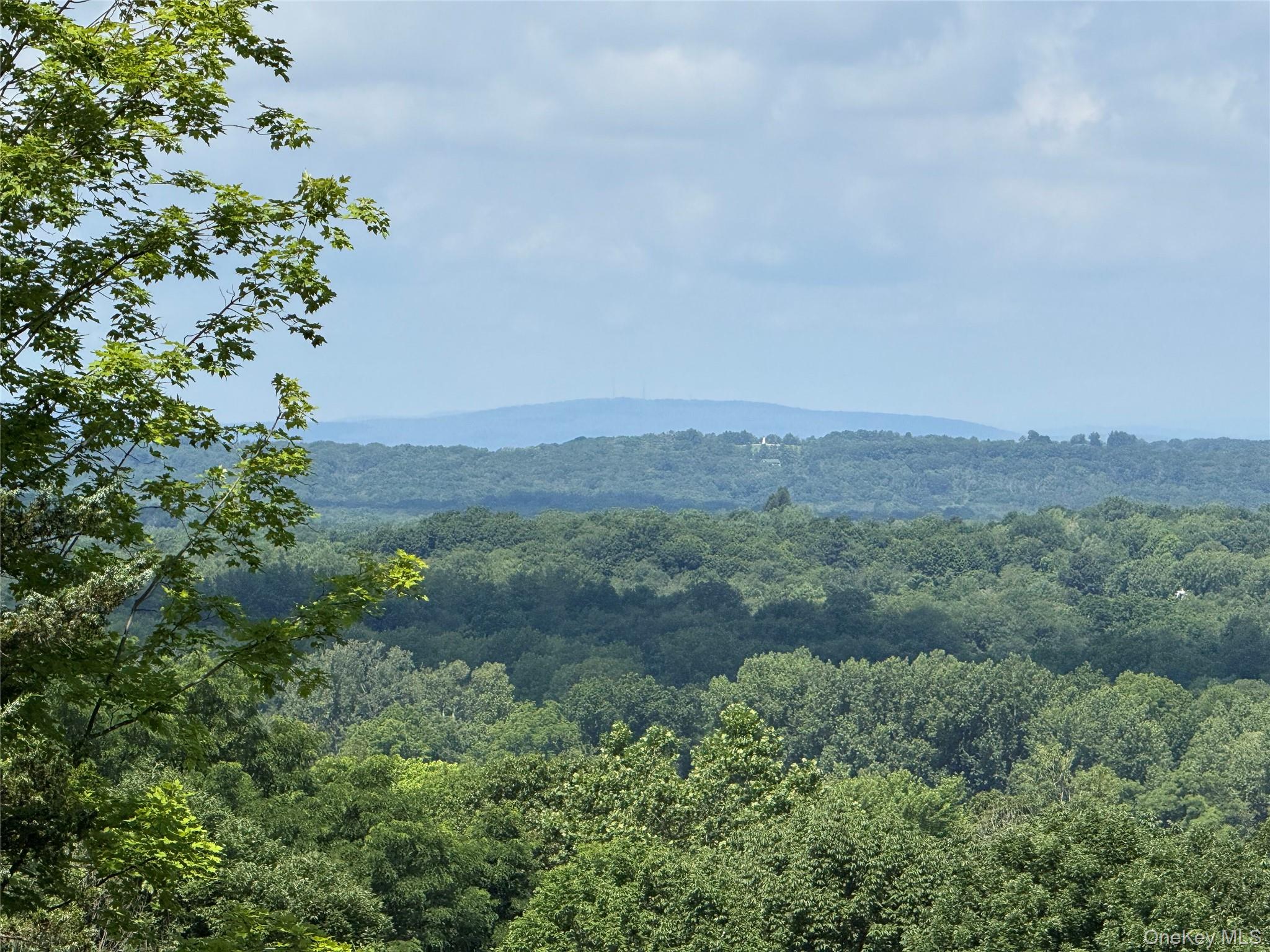 36 Gem Mountain – For Sale photo 21