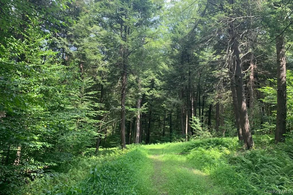 Lot 23 Woodstone Trail – For Sale photo 7