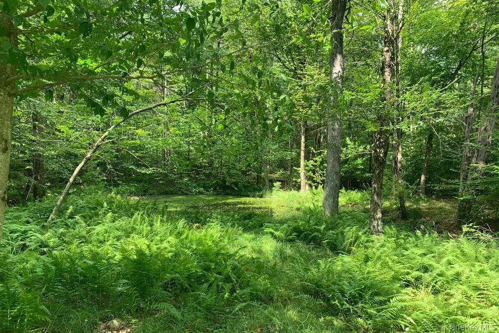 Lot 23 Woodstone Trail – For Sale photo 6