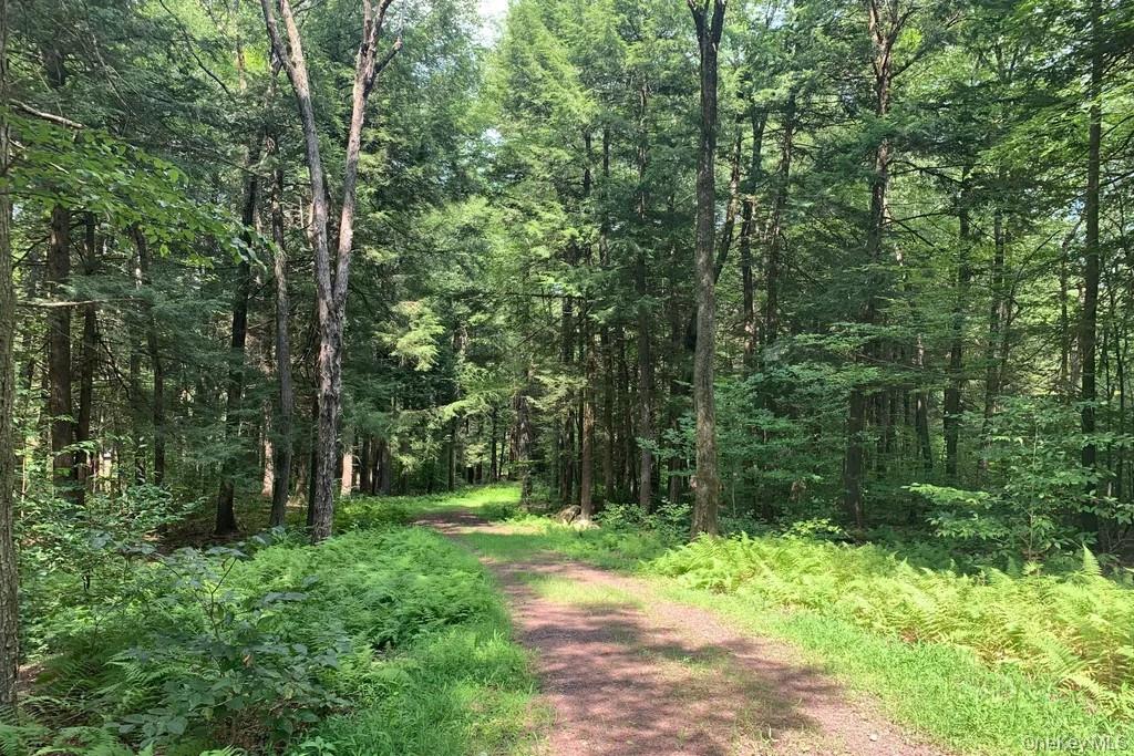 Lot 23 Woodstone Trail – For Sale photo 5