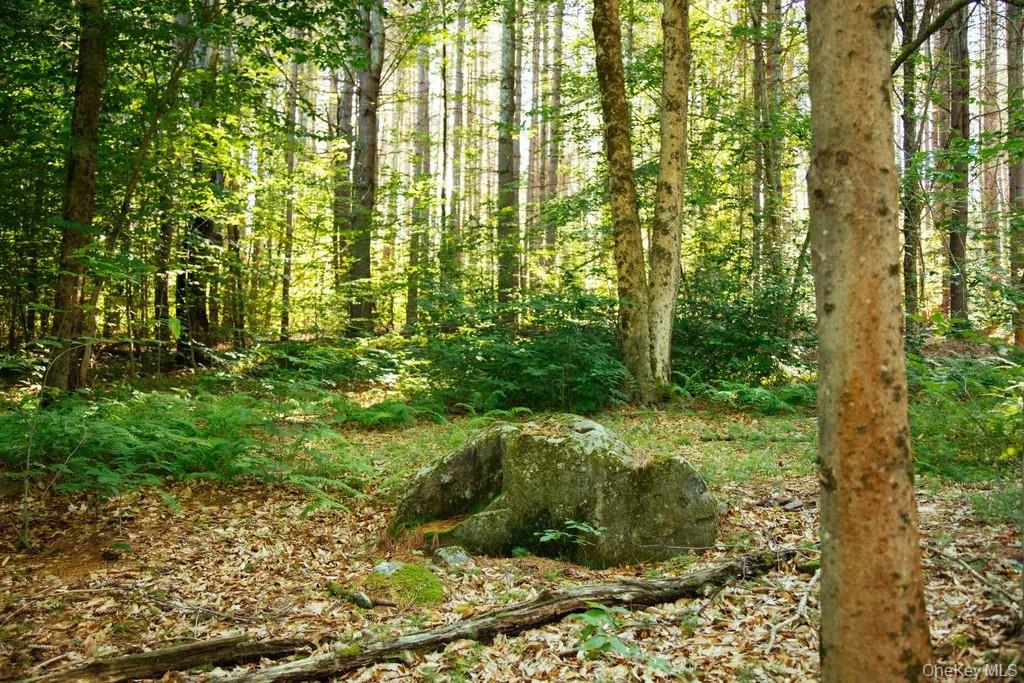 Lot 1 Woodstone Trail – For Sale photo 2