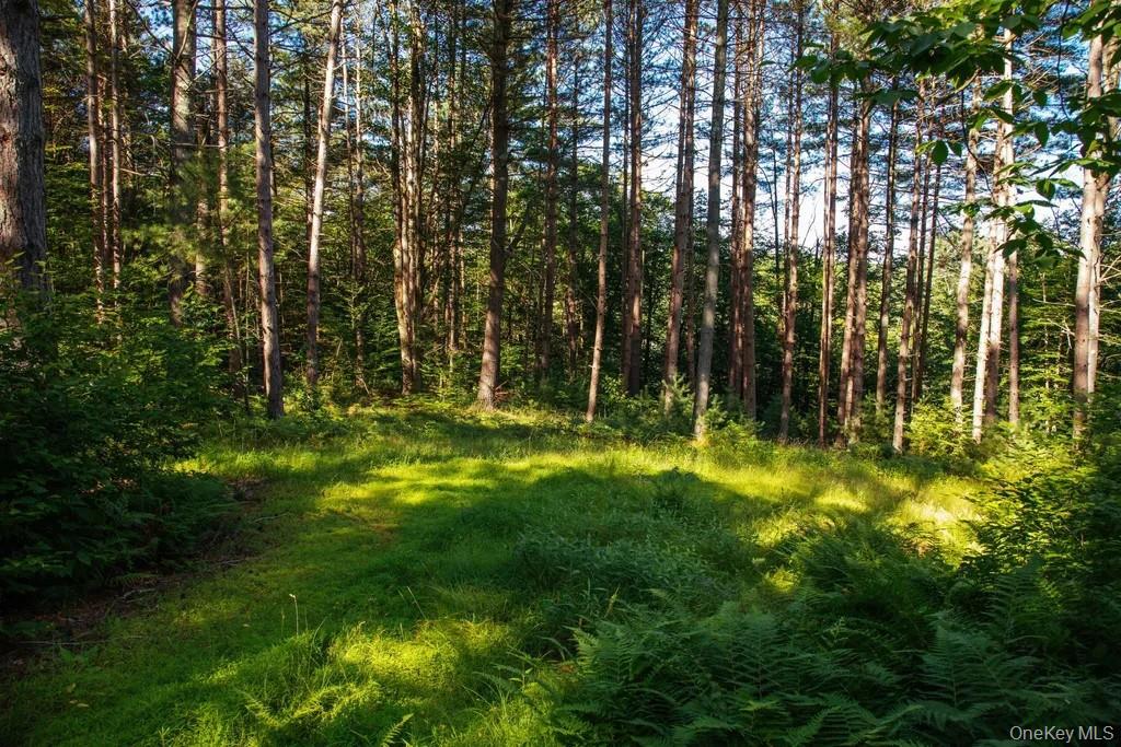 Lot 1 Woodstone Trail – For Sale photo 3