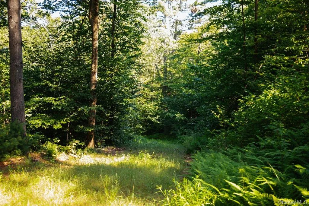 Lot 1 Woodstone Trail – For Sale photo 4