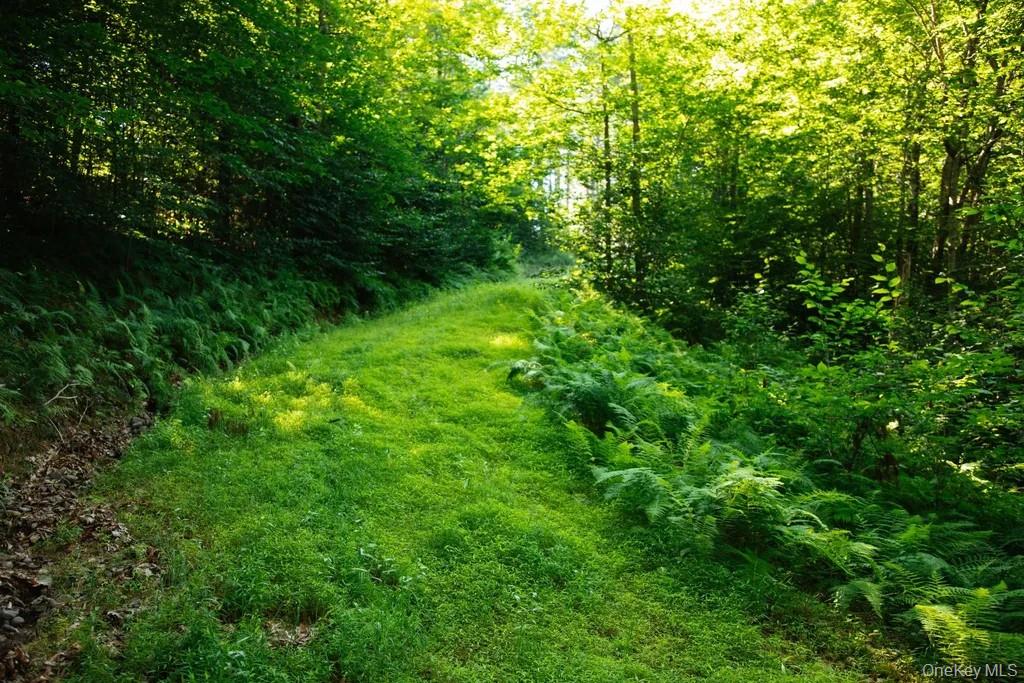 Lot 2 Woodstone Trail – For Sale photo 4