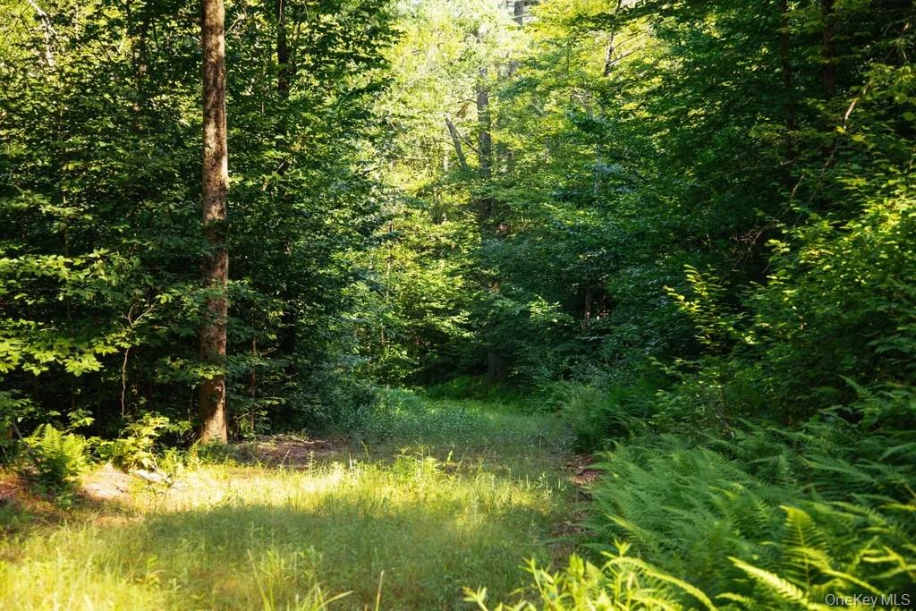 Lot 2 Woodstone Trail – For Sale photo 5