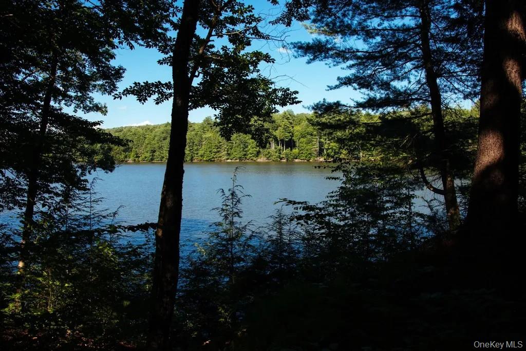 Lot 2 Woodstone Trail – For Sale photo 2