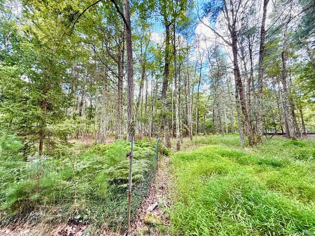 8 Anna Drive – For Sale photo 14