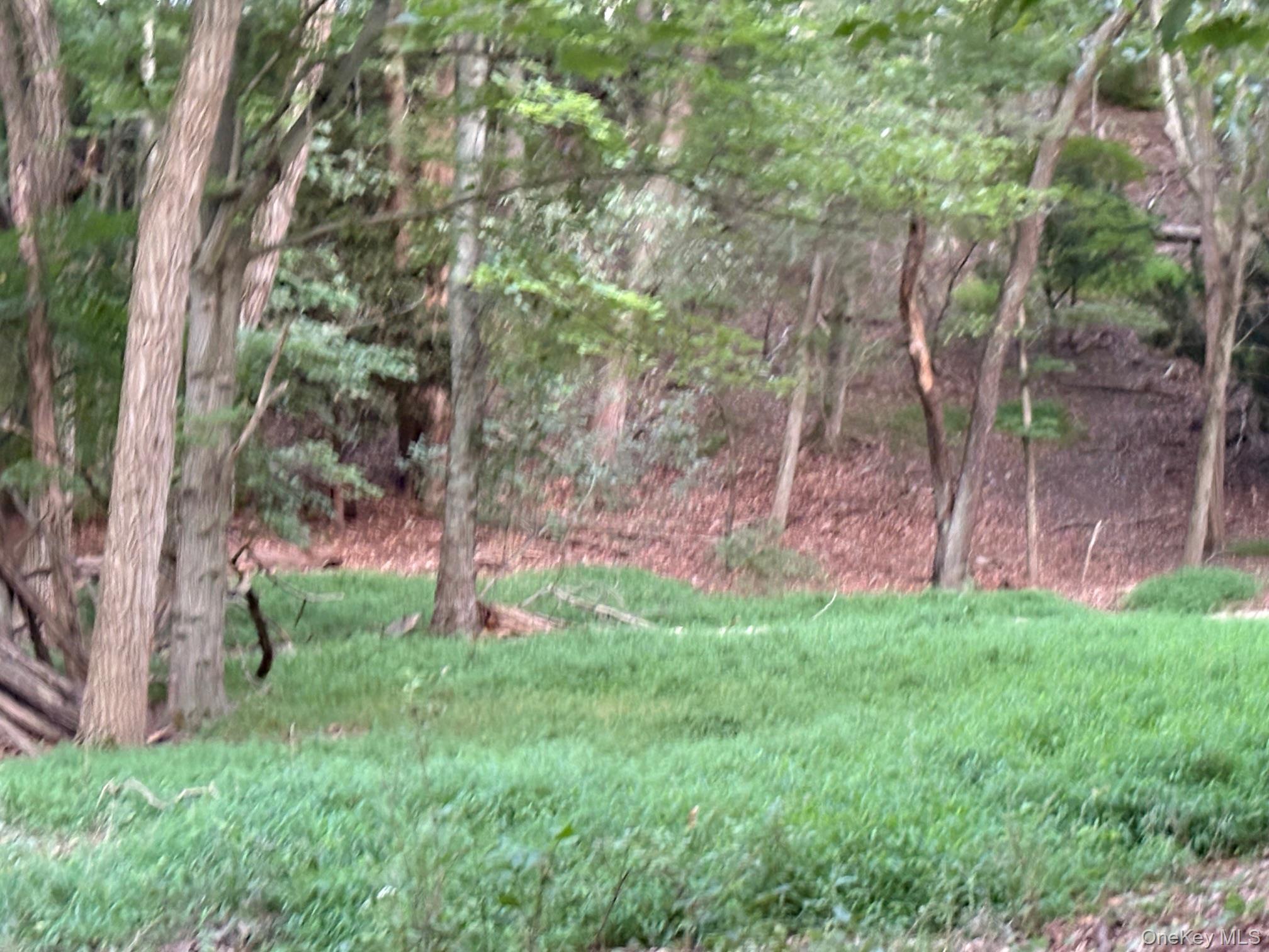 Dark Hollow Road – For Sale photo 5