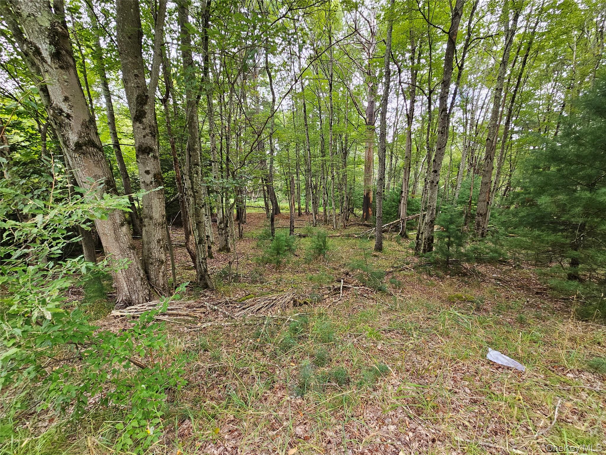 Flower Ave. & State Route 55 – For Sale photo 10