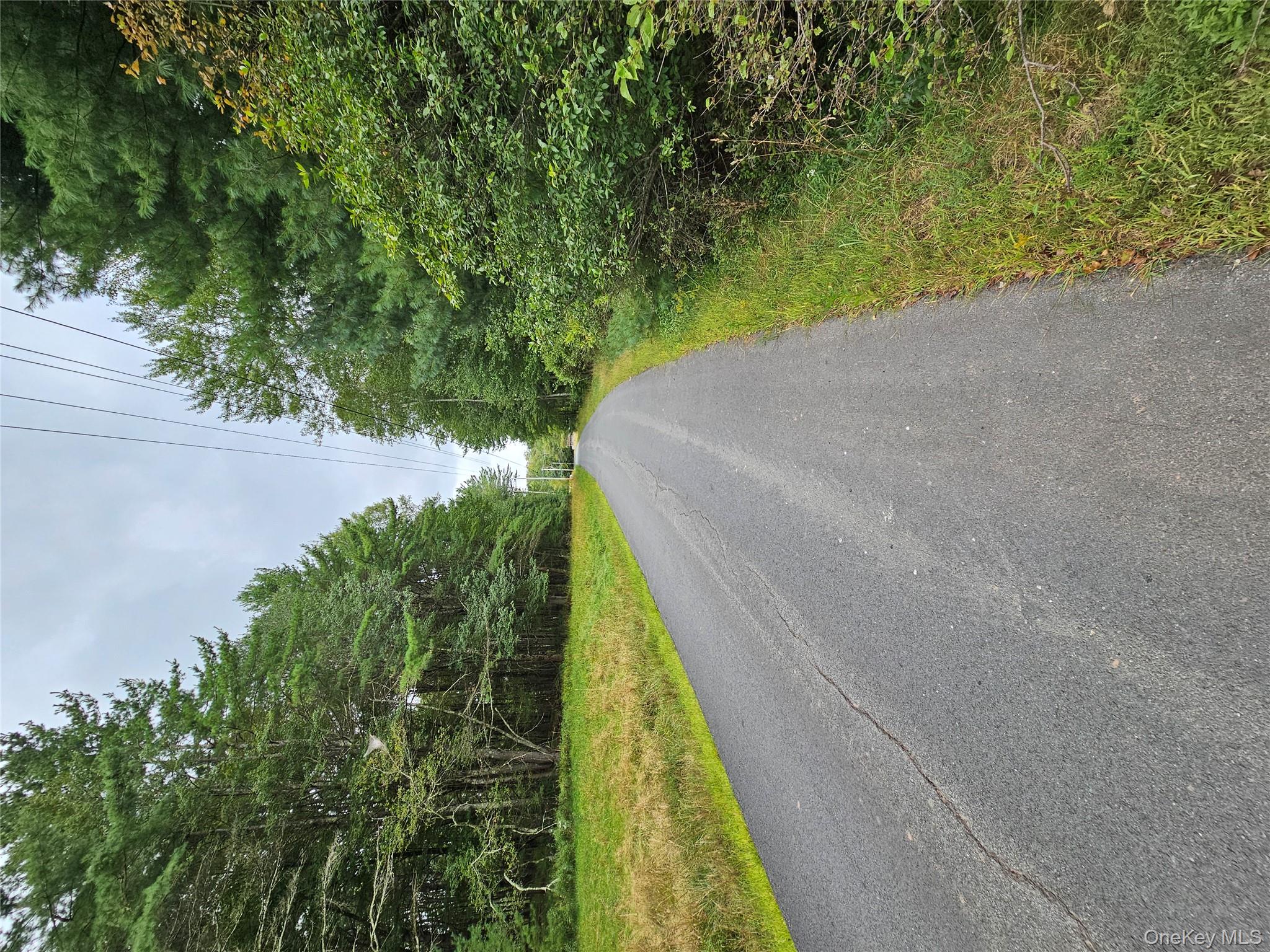 Flower Ave. & State Route 55 – For Sale photo 23