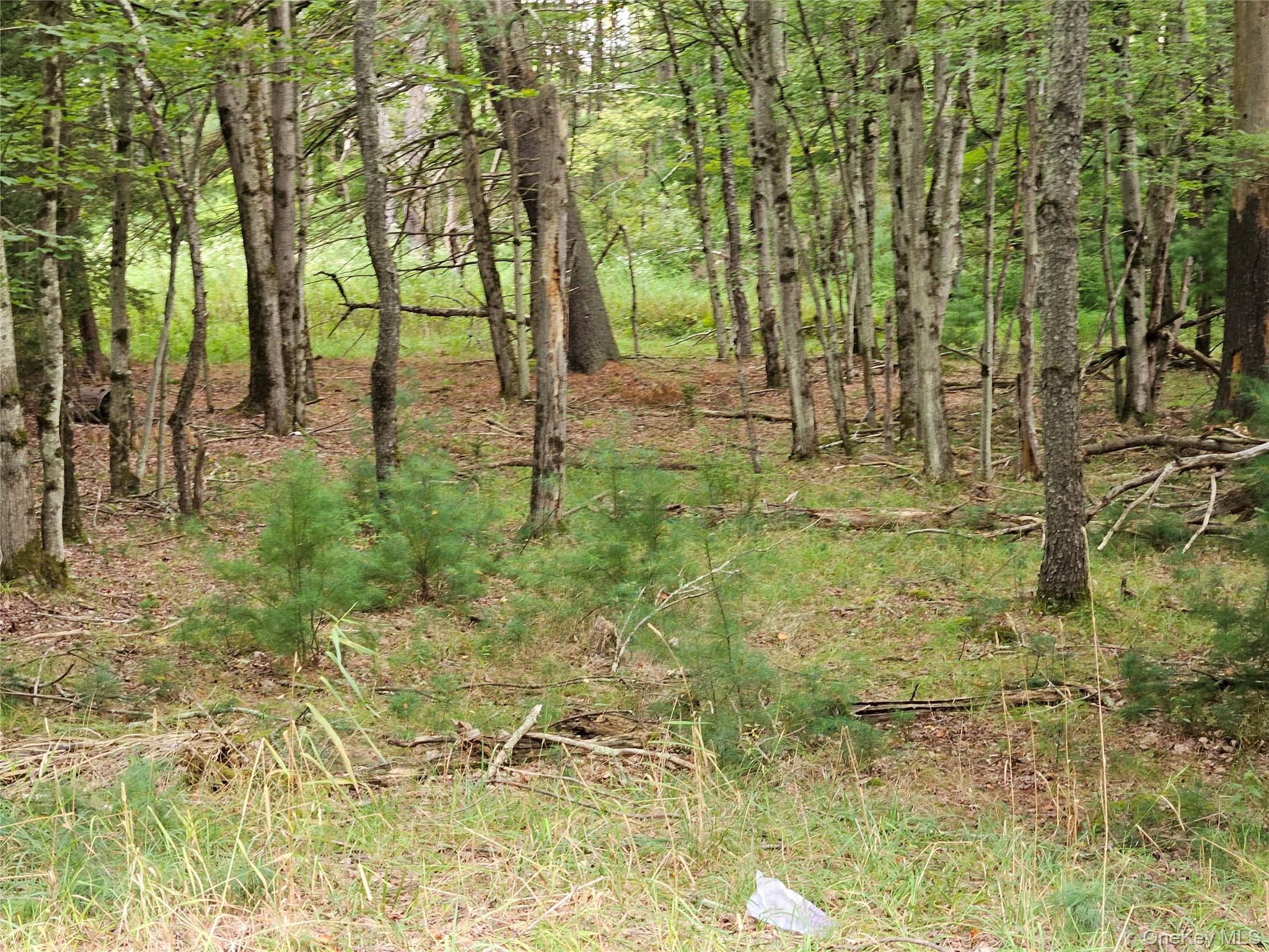 Flower Ave. & State Route 55 – For Sale photo 26