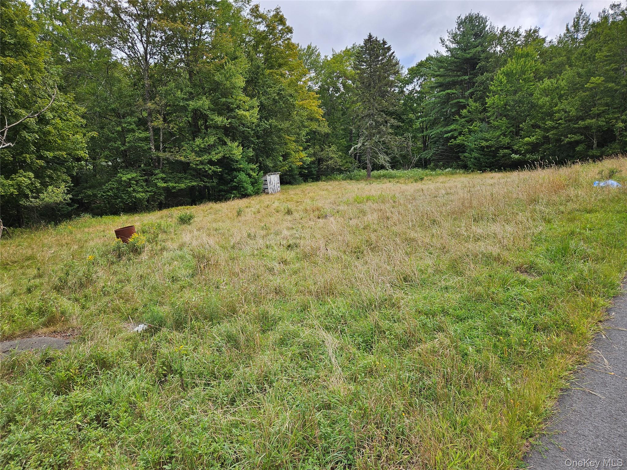 Flower Ave. & State Route 55 – For Sale photo 6