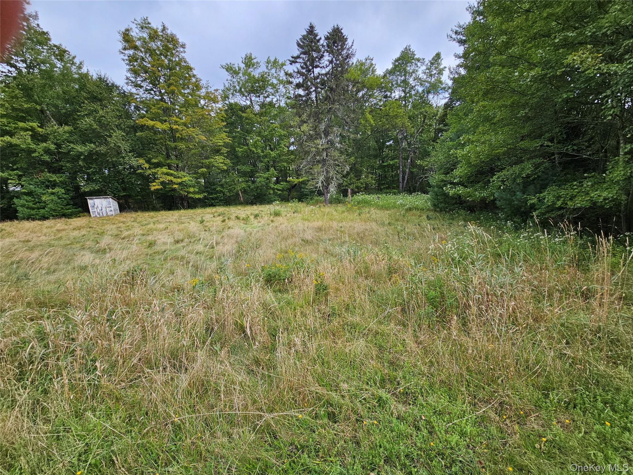 Flower Ave. & State Route 55 – For Sale
