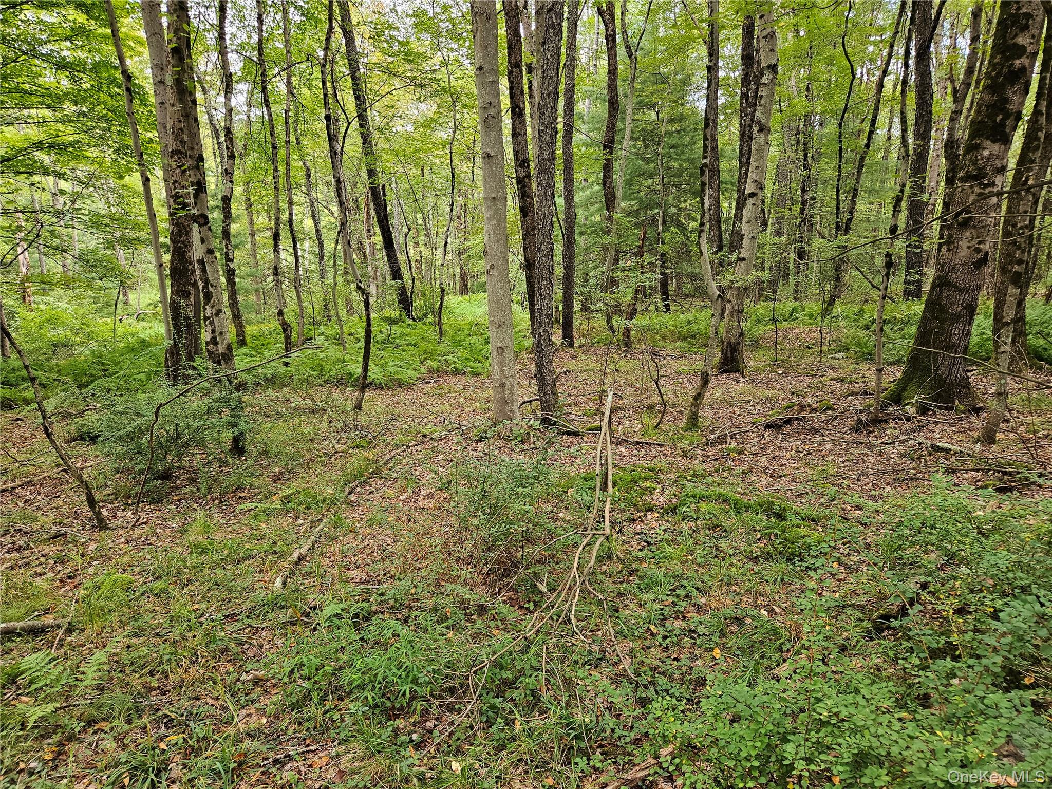 Flower Ave. & State Route 55 – For Sale photo 21