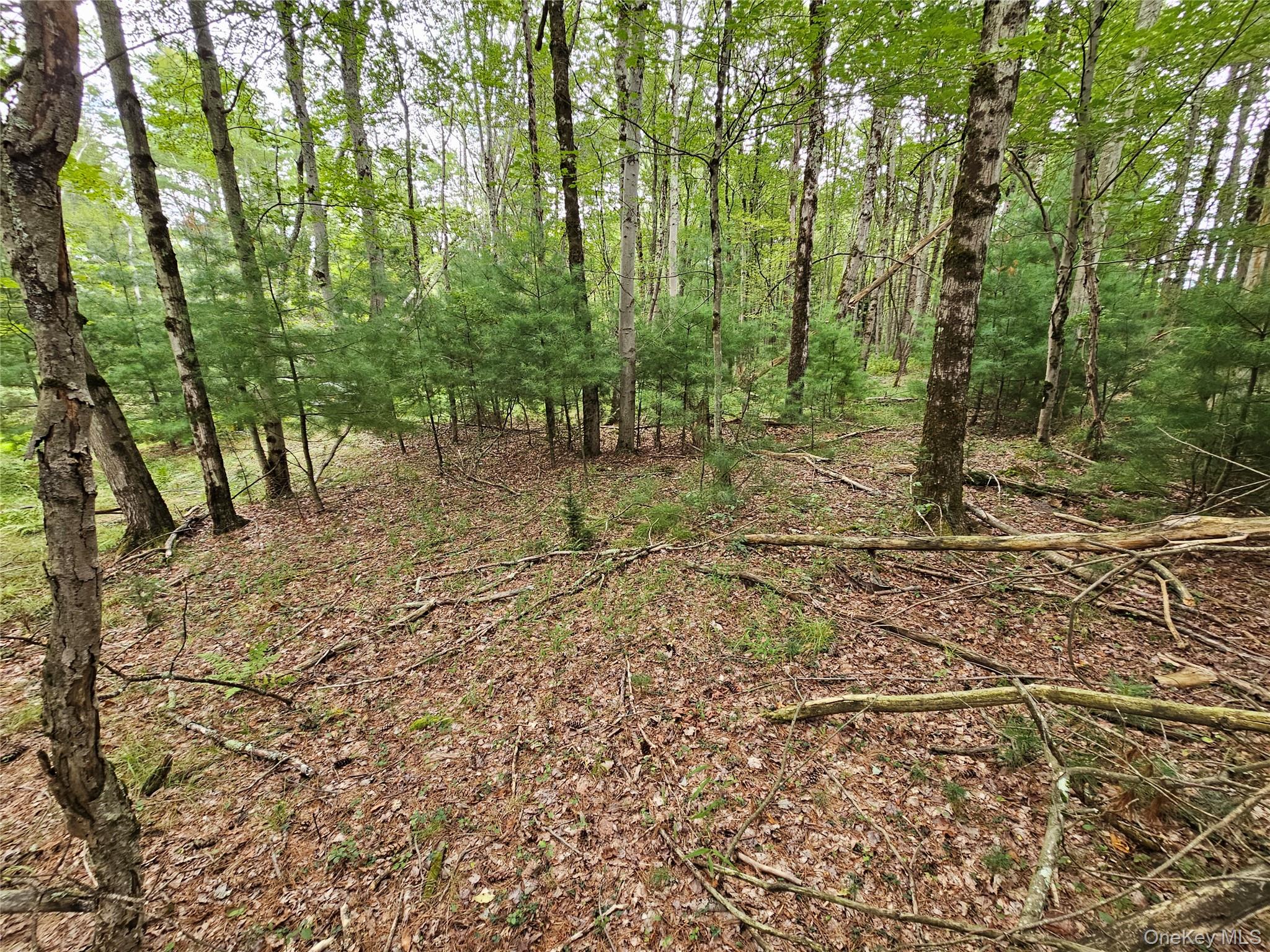 Flower Ave. & State Route 55 – For Sale photo 12