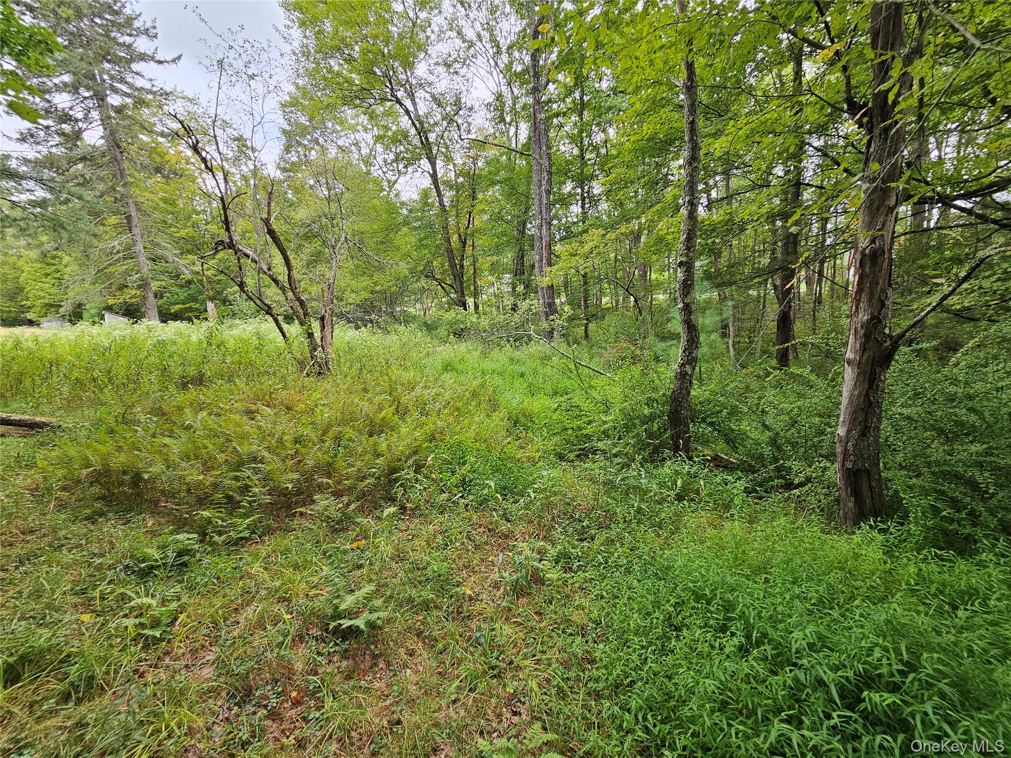 Flower Ave. & State Route 55 – For Sale photo 14