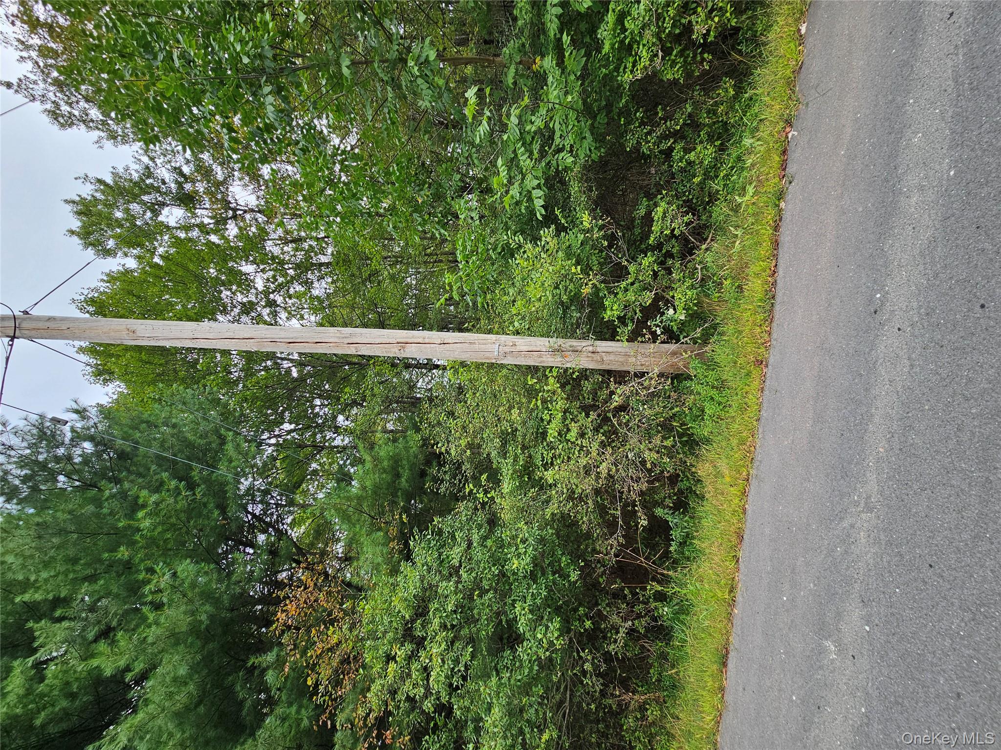 Flower Ave. & State Route 55 – For Sale photo 22