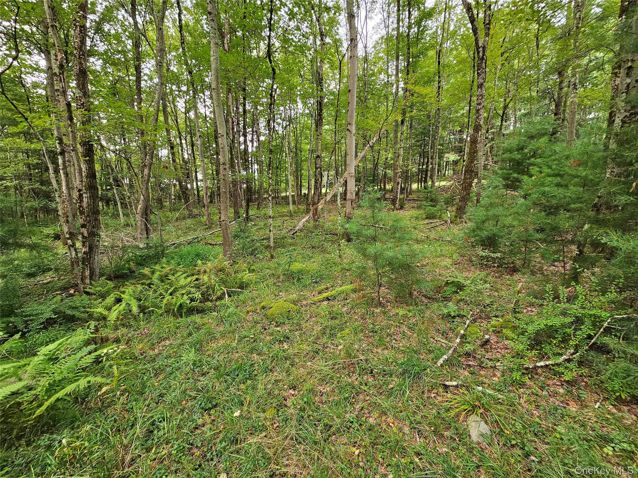Flower Ave. & State Route 55 – For Sale photo 15