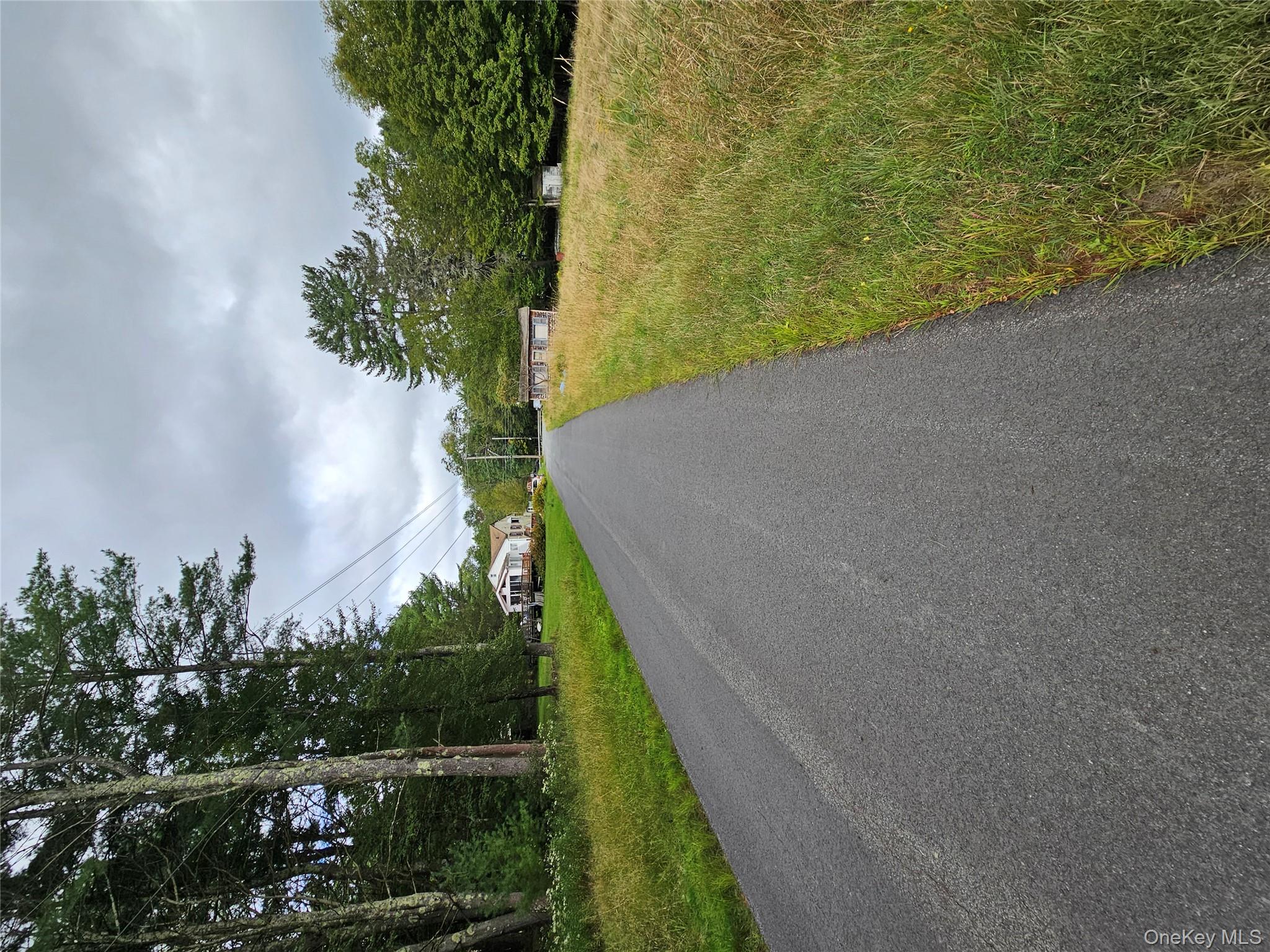 Flower Ave. & State Route 55 – For Sale photo 7