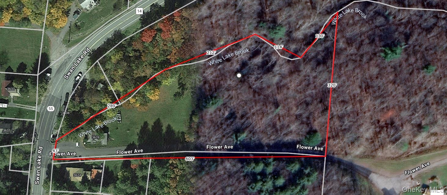 Flower Ave. & State Route 55 – For Sale photo 4