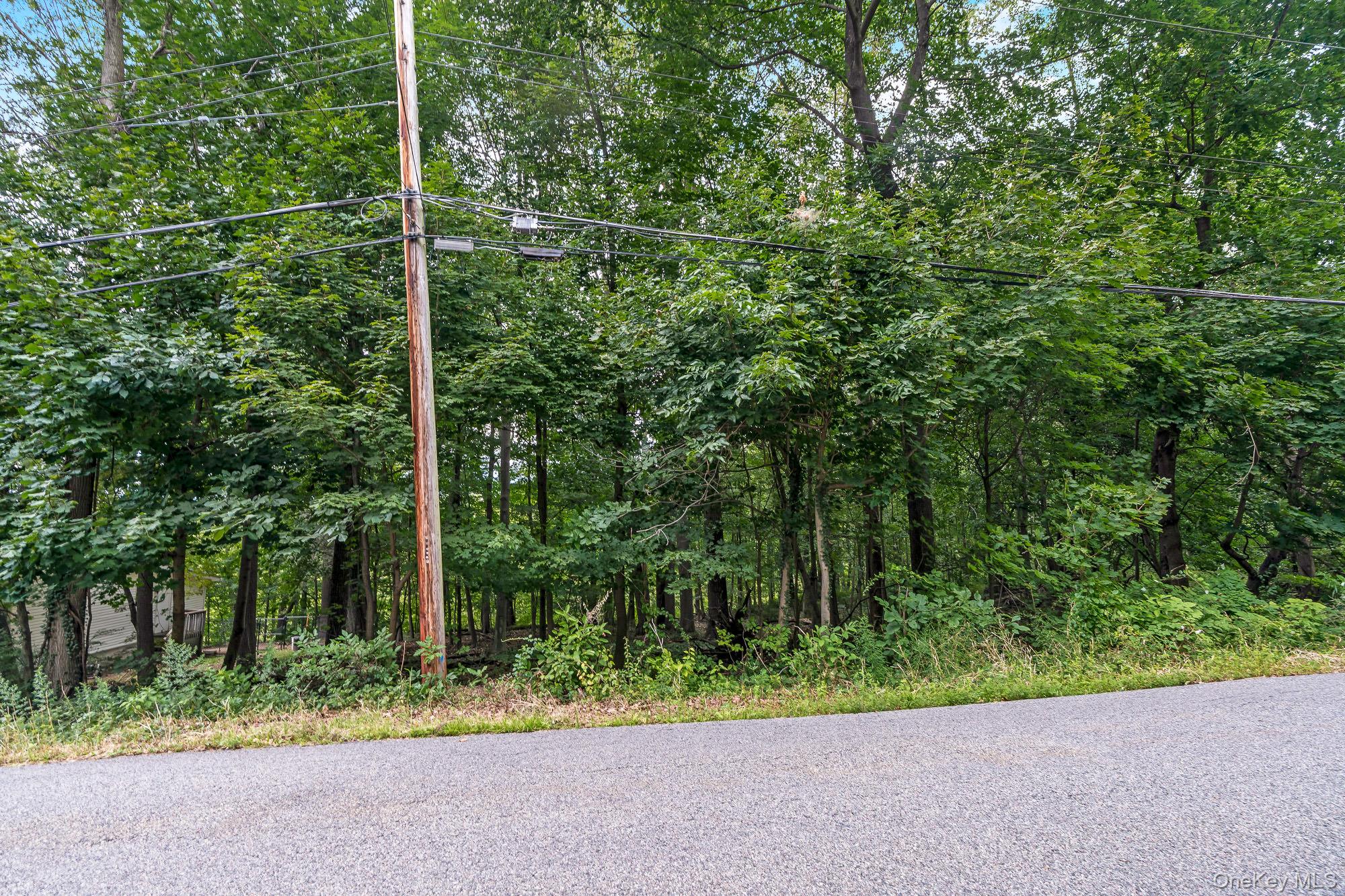 Sagamore Avenue – For Sale photo 4