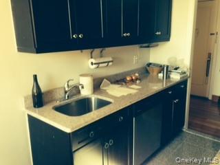 4333 48th Street, Unit 4H photo 3