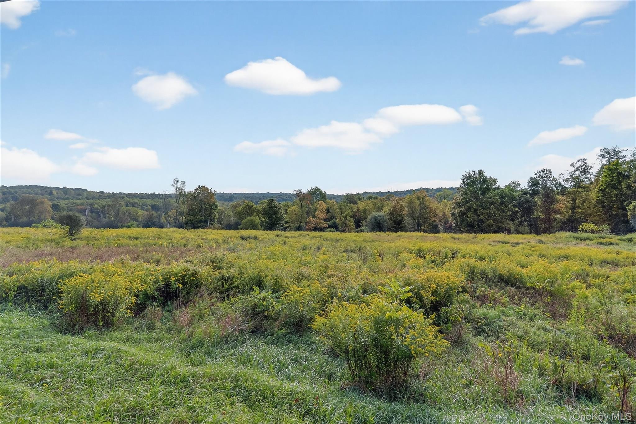 441 Scotchtown Collabar Road – For Sale photo 50