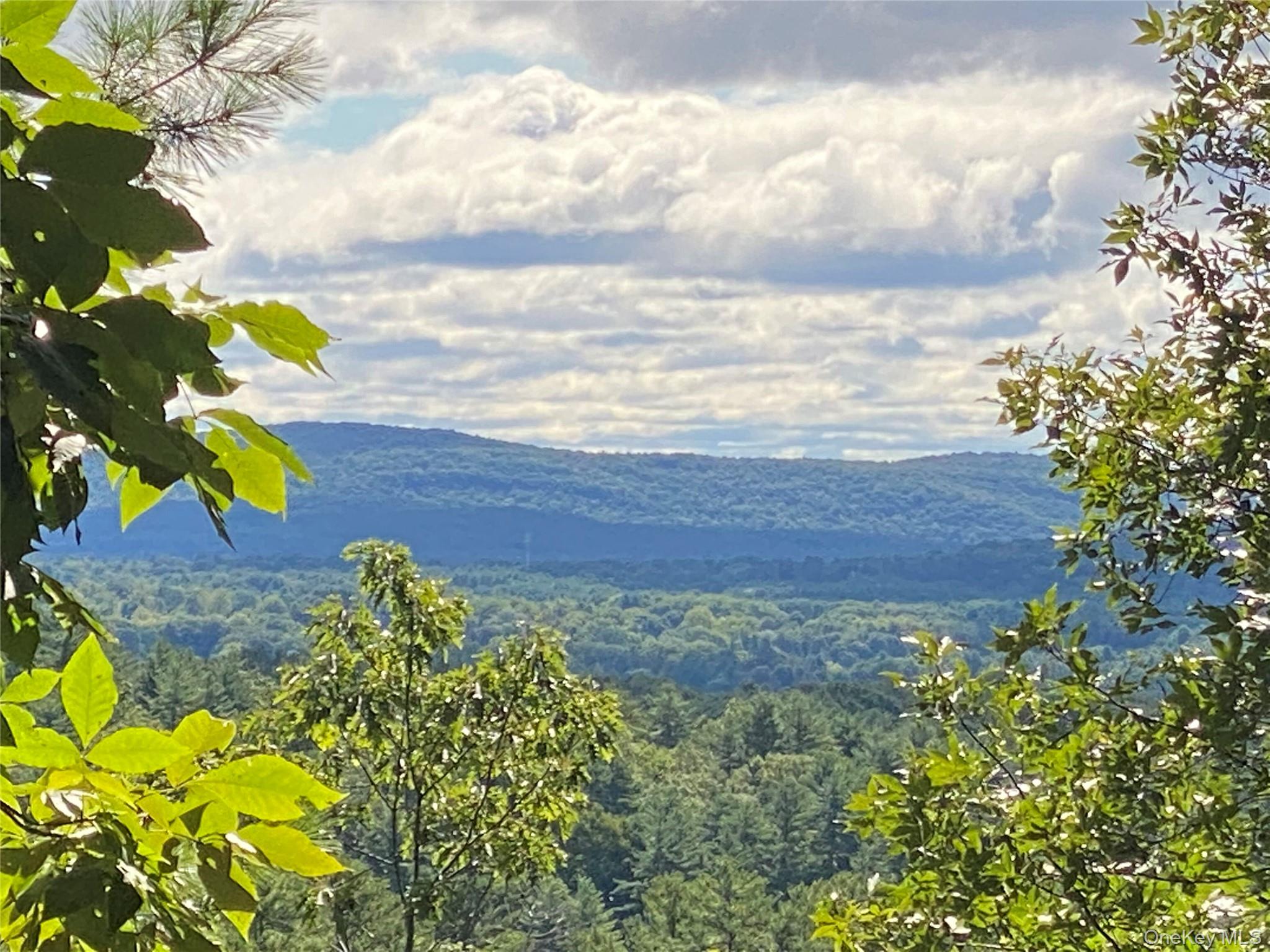 TBD Dug Hill Road – For Sale