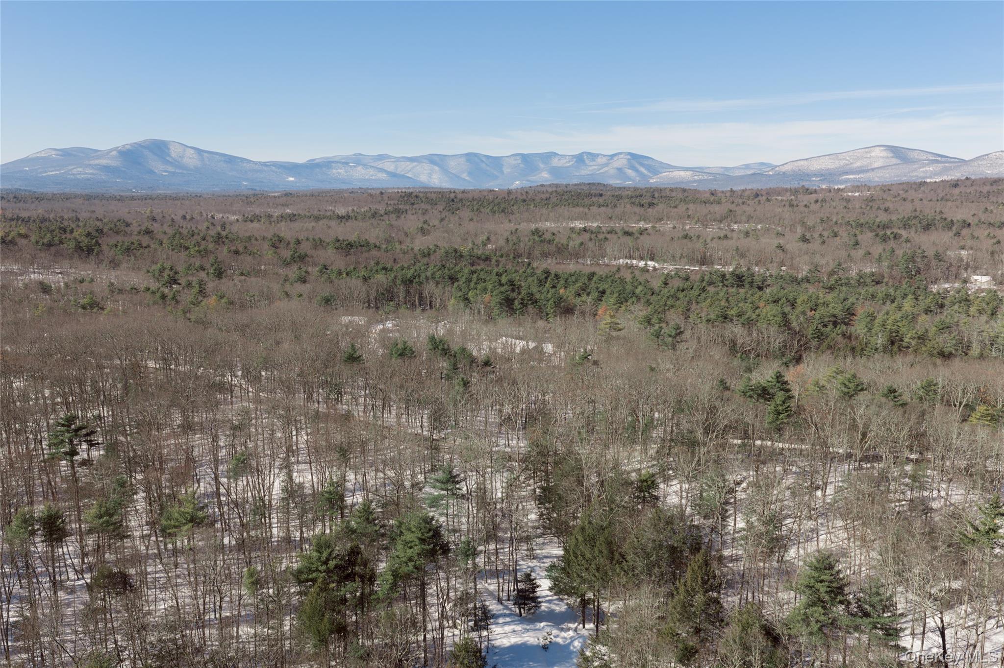 TBD Dug Hill Road – For Sale photo 11