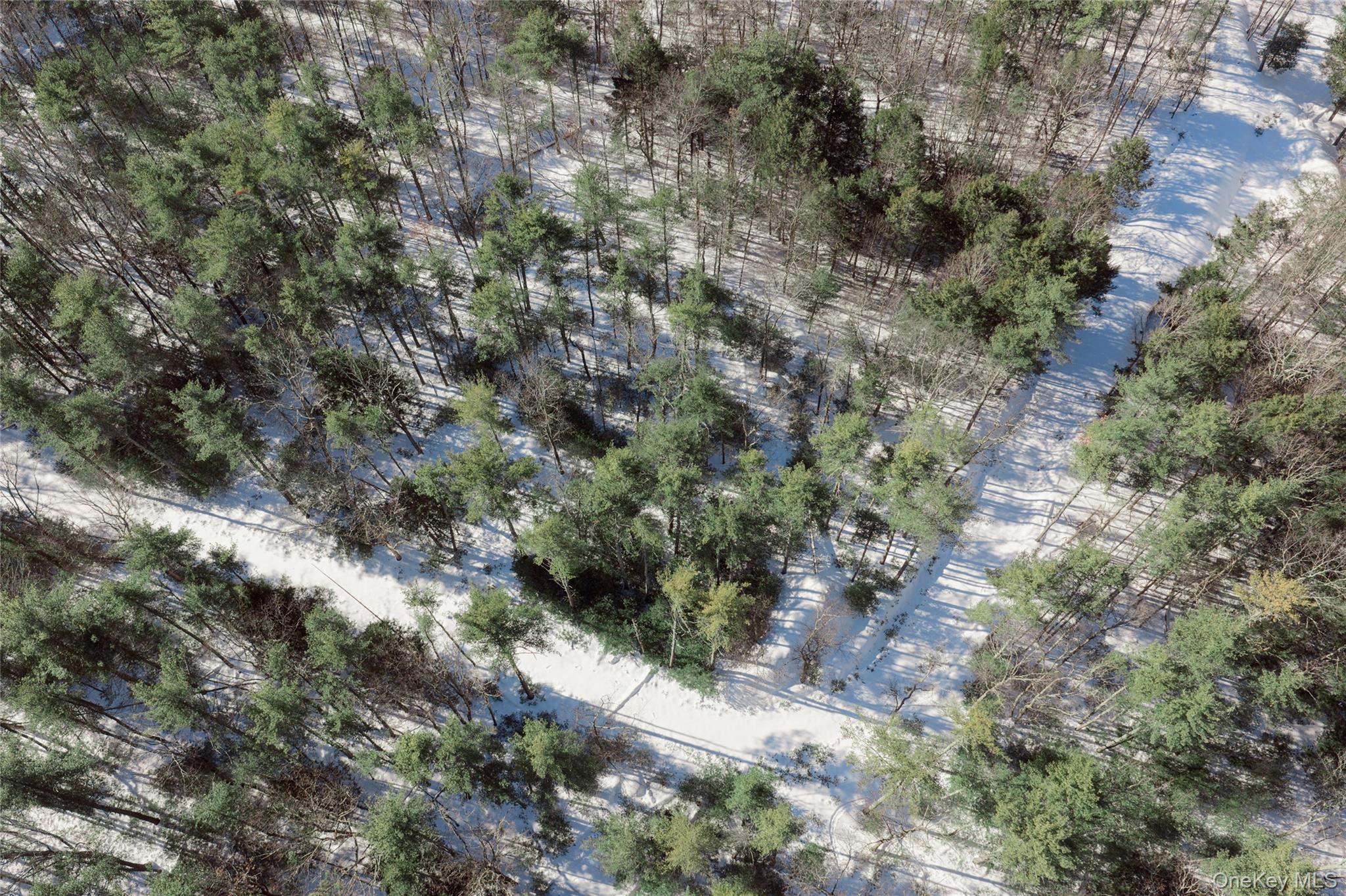TBD Dug Hill Road – For Sale photo 7