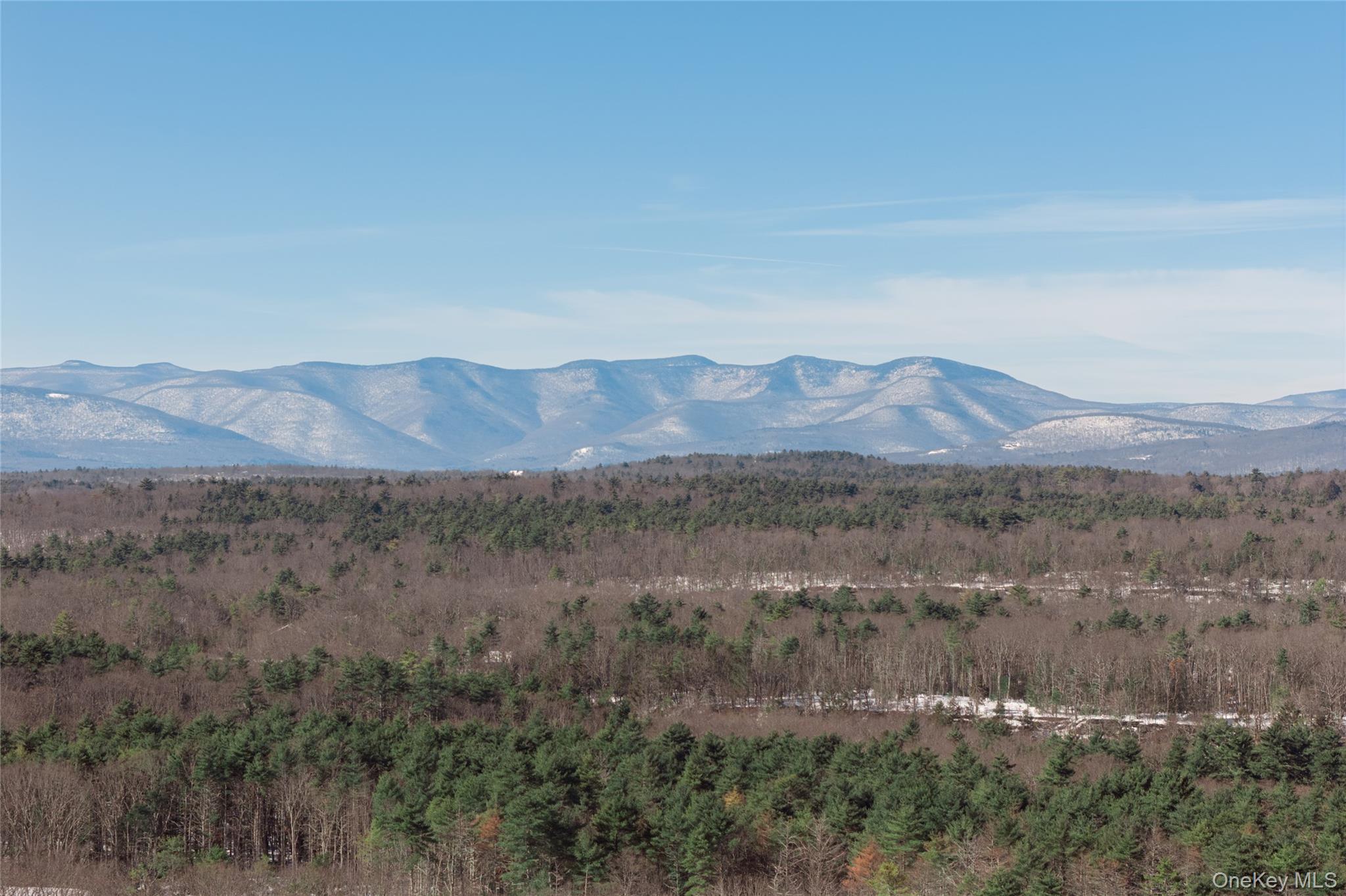 TBD Dug Hill Road – For Sale photo 4