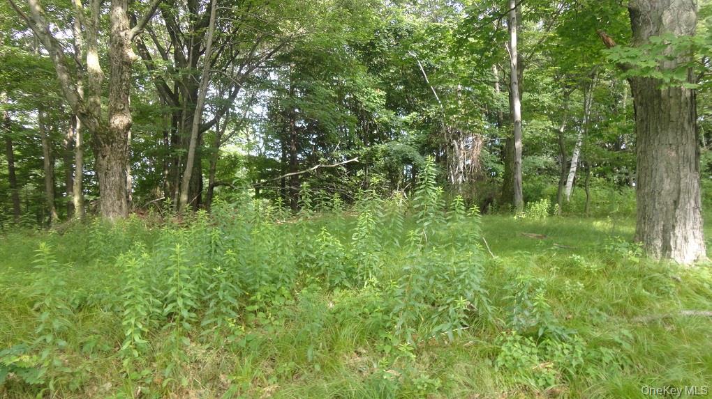 Henry Road – For Sale photo 3