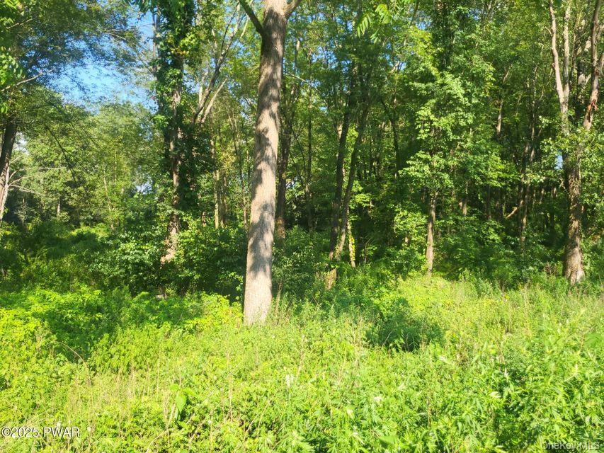592 Mount Bethel Highway – For Sale photo 25