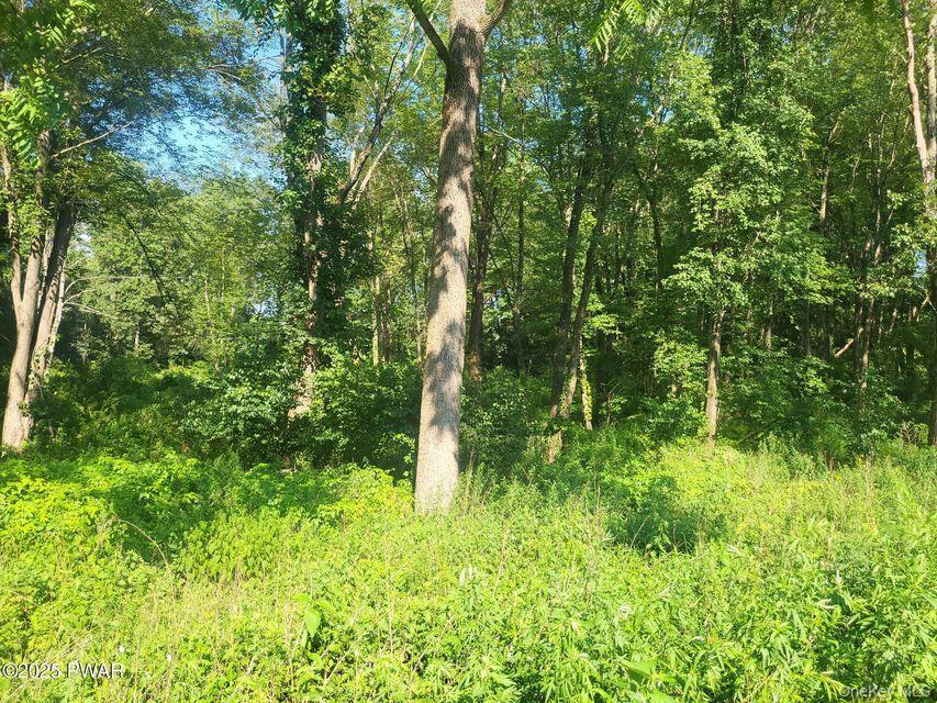 592 Mount Bethel Highway – For Sale photo 26