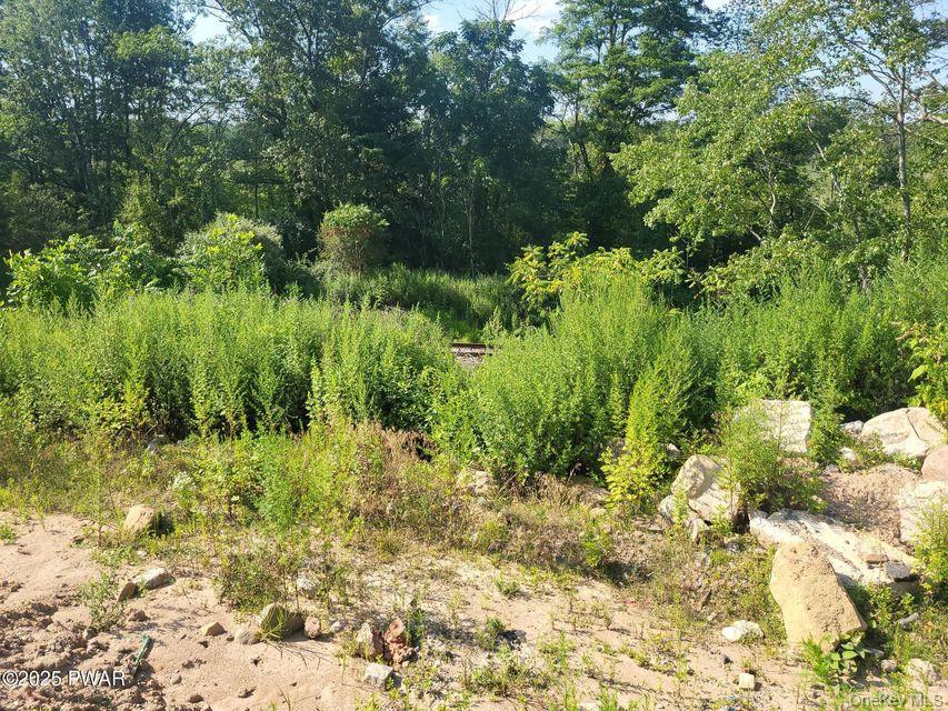 592 Mount Bethel Highway – For Sale photo 14