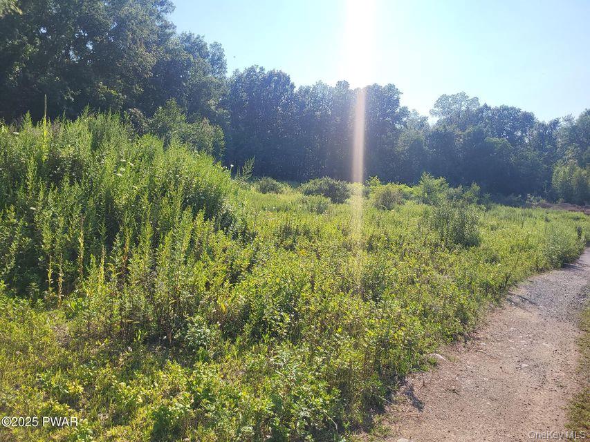 592 Mount Bethel Highway – For Sale photo 22