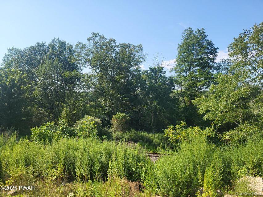 592 Mount Bethel Highway – For Sale photo 15