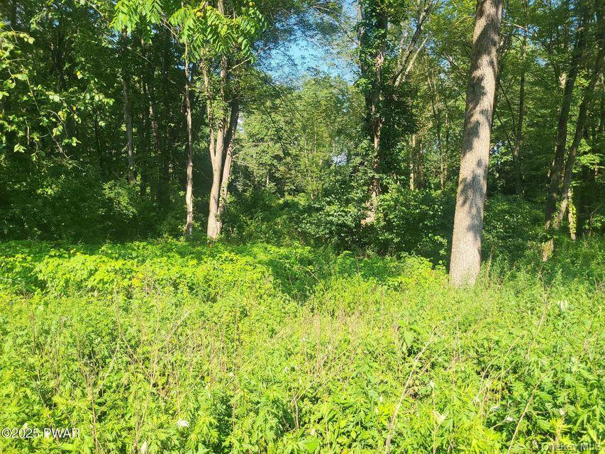 592 Mount Bethel Highway – For Sale photo 24