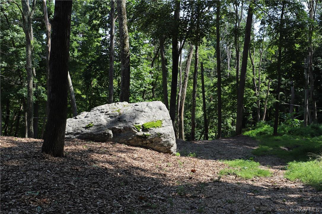 Mountain Farm Road – For Sale photo 3